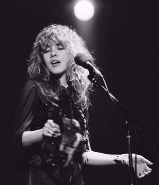 A Brief Biography Stevie Nicks.